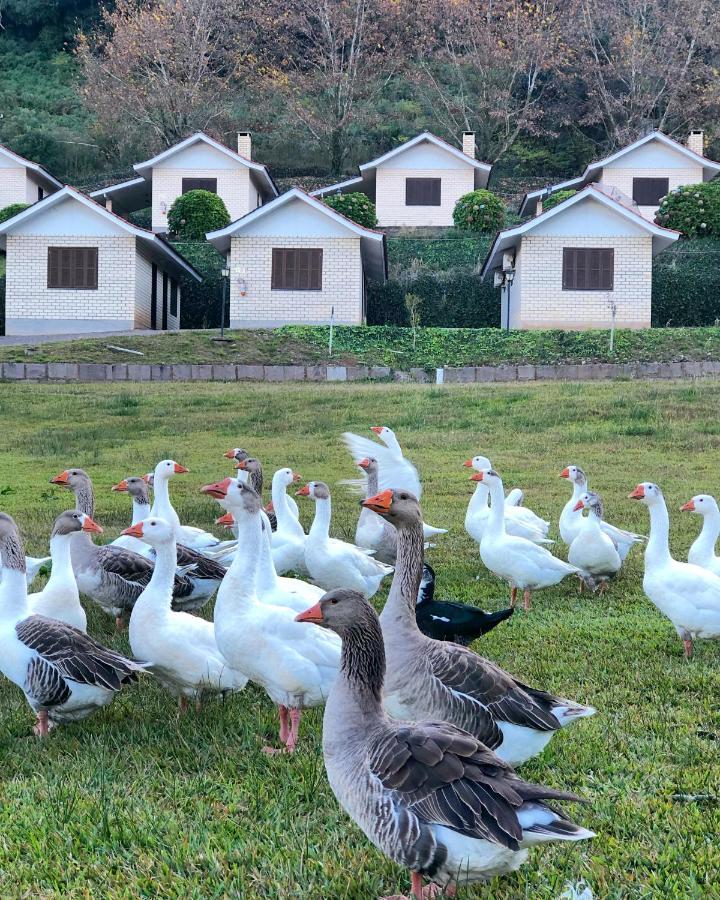 Pousada Parque Das Pitangueiras ฟลอเรส ดา กุนญา ภายนอก รูปภาพ