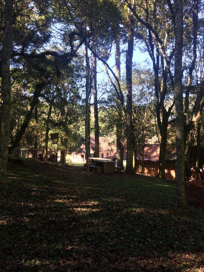 Pousada Parque Das Pitangueiras ฟลอเรส ดา กุนญา ภายนอก รูปภาพ